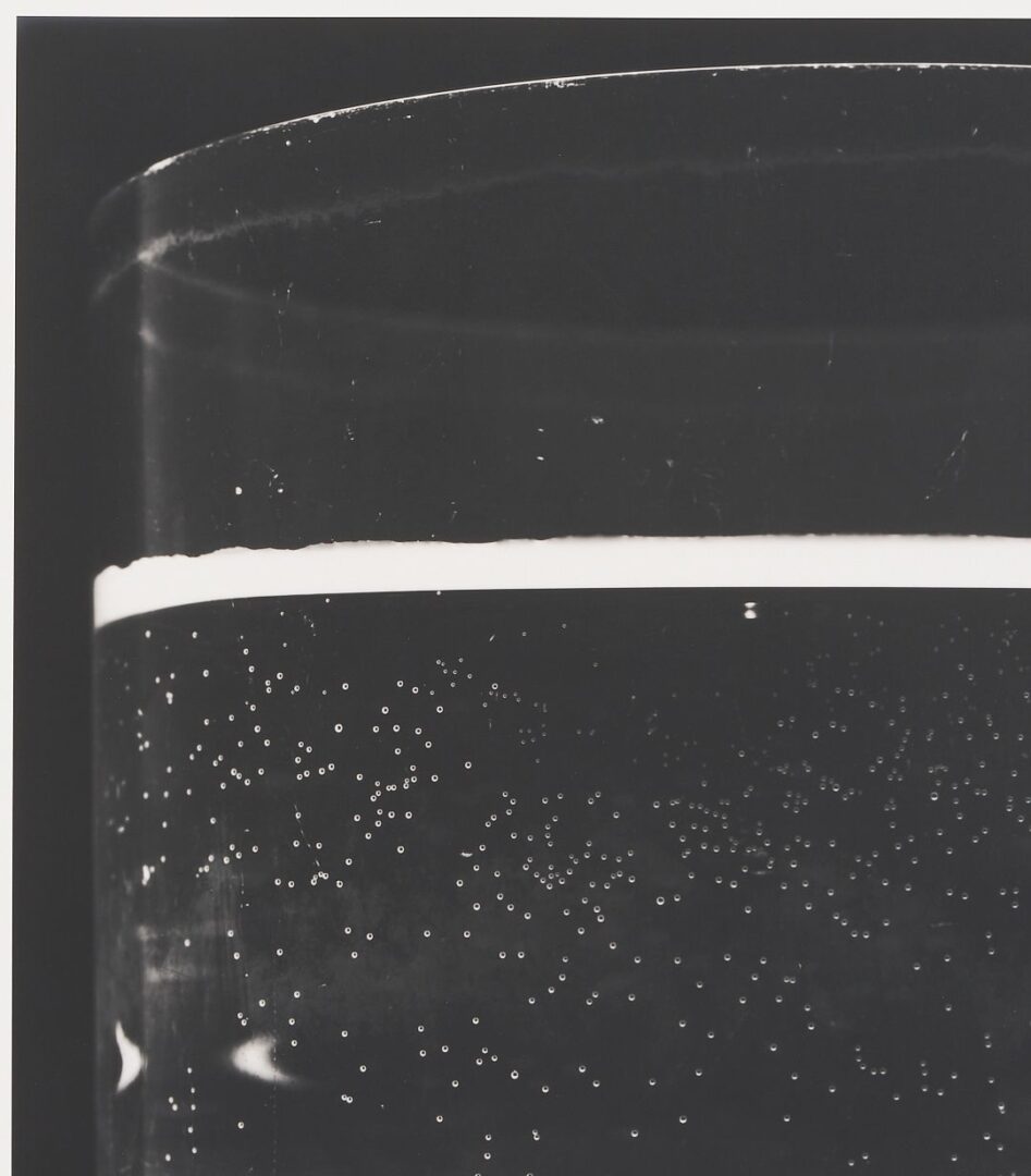 Lot 433: Amanda Means Framed Photograph, Glass 2