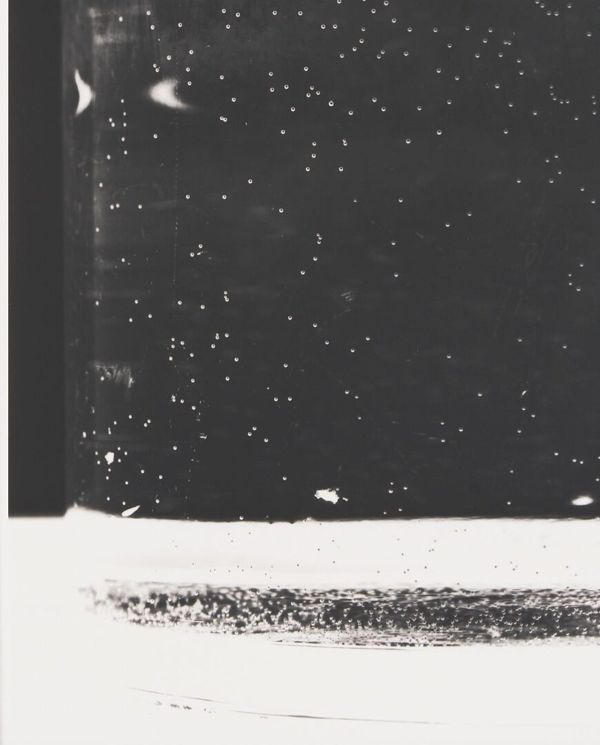 Lot 433: Amanda Means Framed Photograph, Glass 2