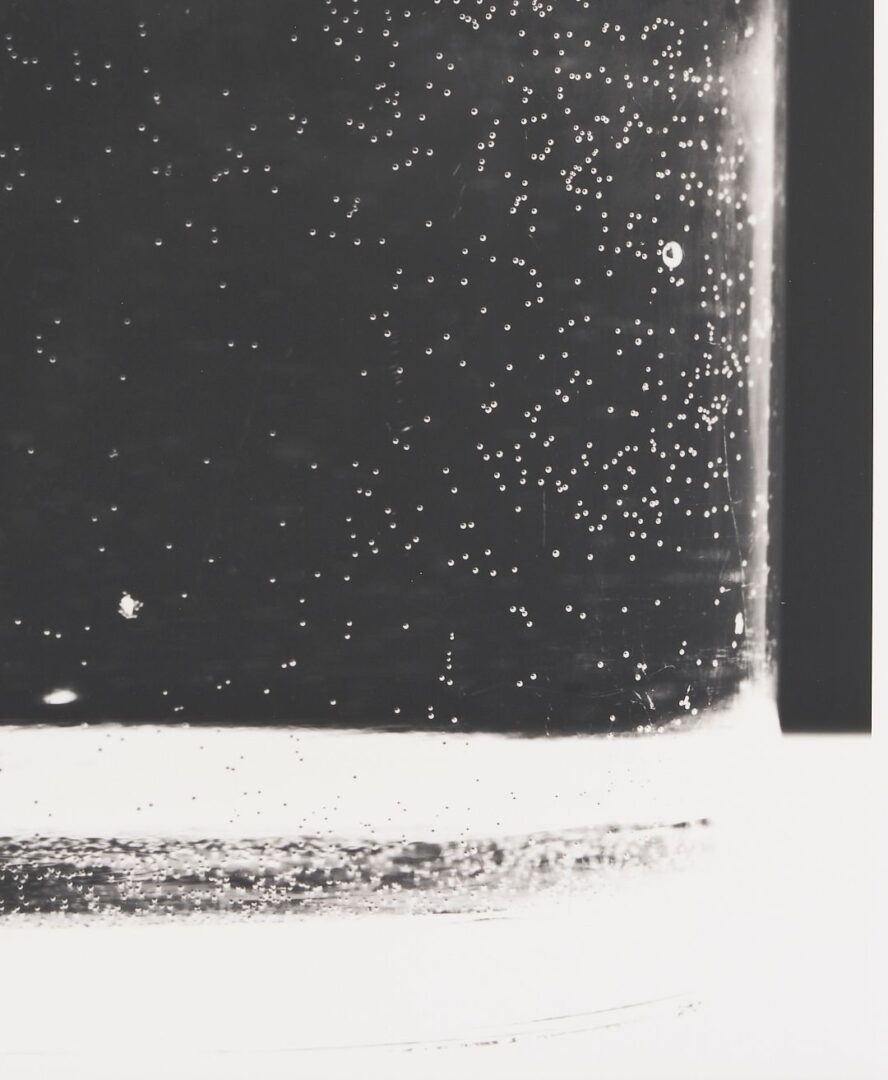 Lot 433: Amanda Means Framed Photograph, Glass 2