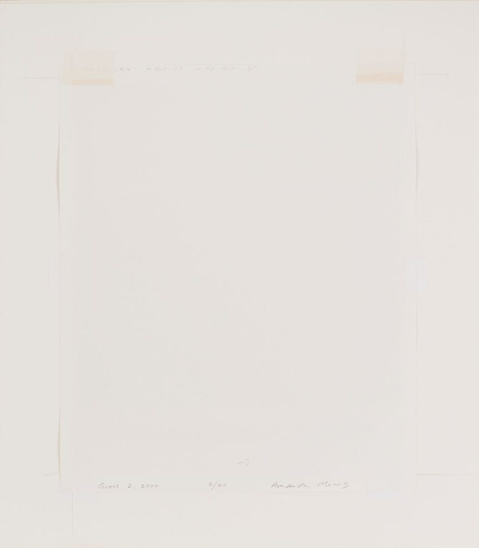 Lot 433: Amanda Means Framed Photograph, Glass 2