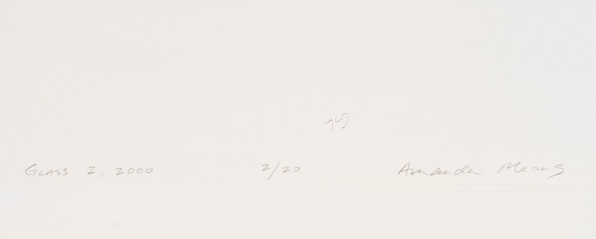 Lot 433: Amanda Means Framed Photograph, Glass 2