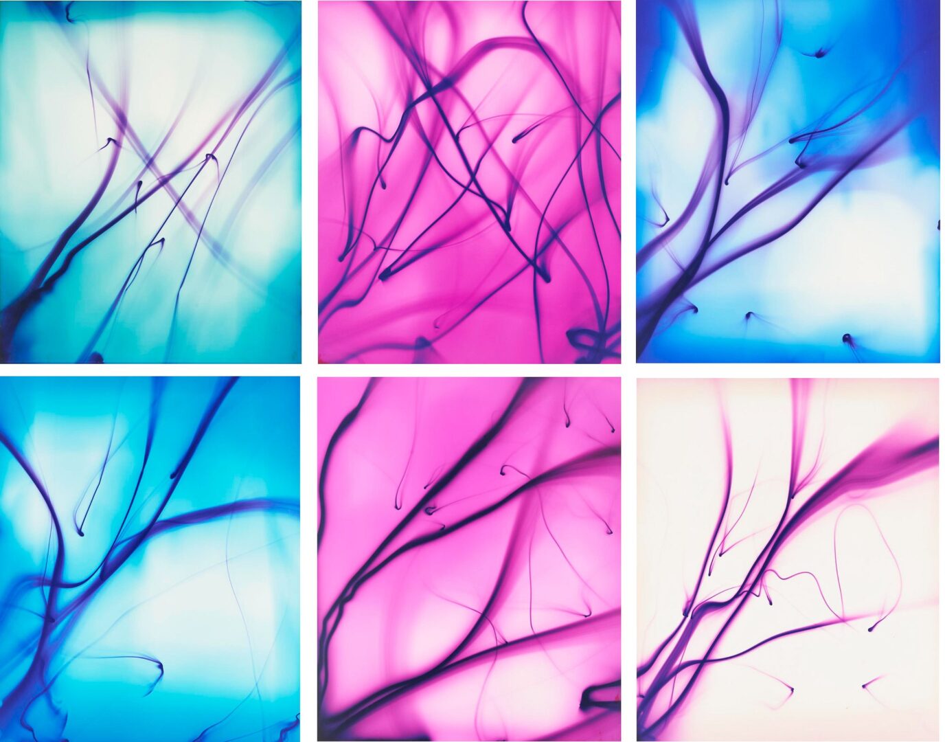 Lot 435: Ellen Carey, Series of 6 Photograms, Struck By Light: Pen Lights