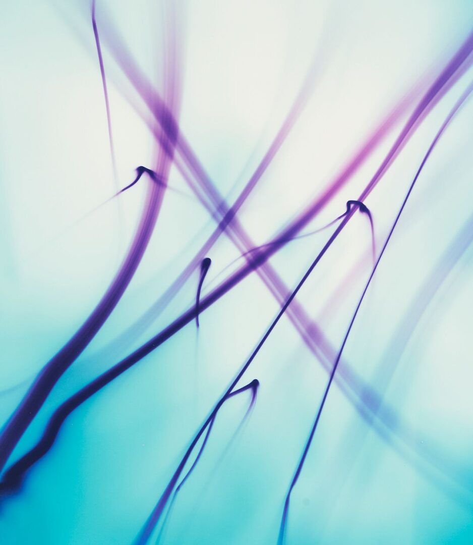 Lot 435: Ellen Carey, Series of 6 Photograms, Struck By Light: Pen Lights