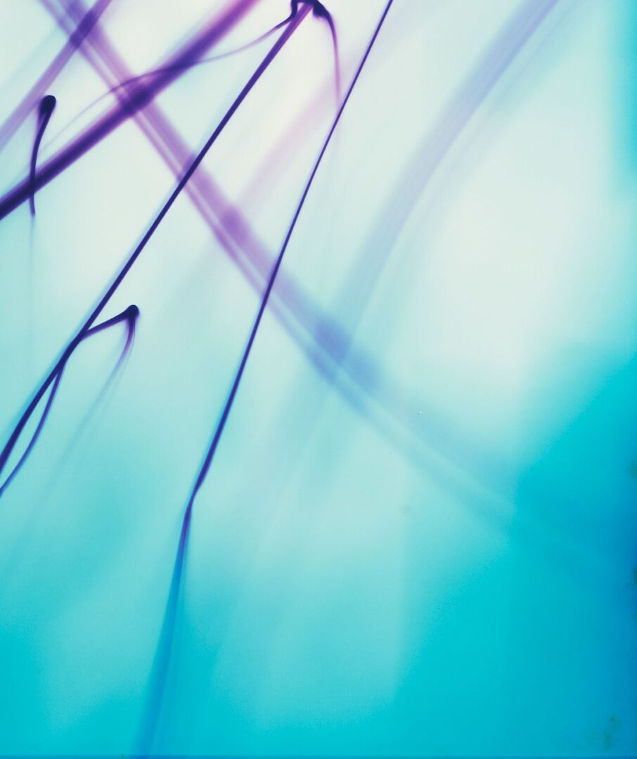 Lot 435: Ellen Carey, Series of 6 Photograms, Struck By Light: Pen Lights