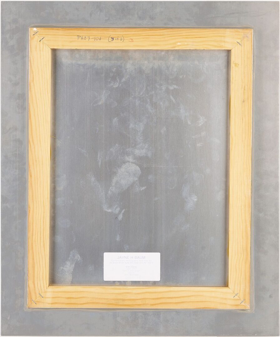 Lot 435: Ellen Carey, Series of 6 Photograms, Struck By Light: Pen Lights