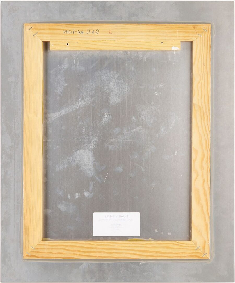 Lot 435: Ellen Carey, Series of 6 Photograms, Struck By Light: Pen Lights