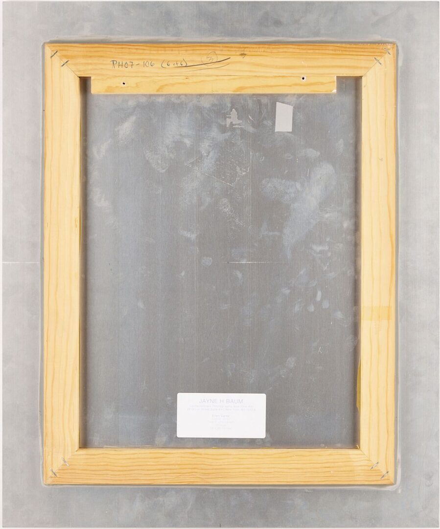 Lot 435: Ellen Carey, Series of 6 Photograms, Struck By Light: Pen Lights