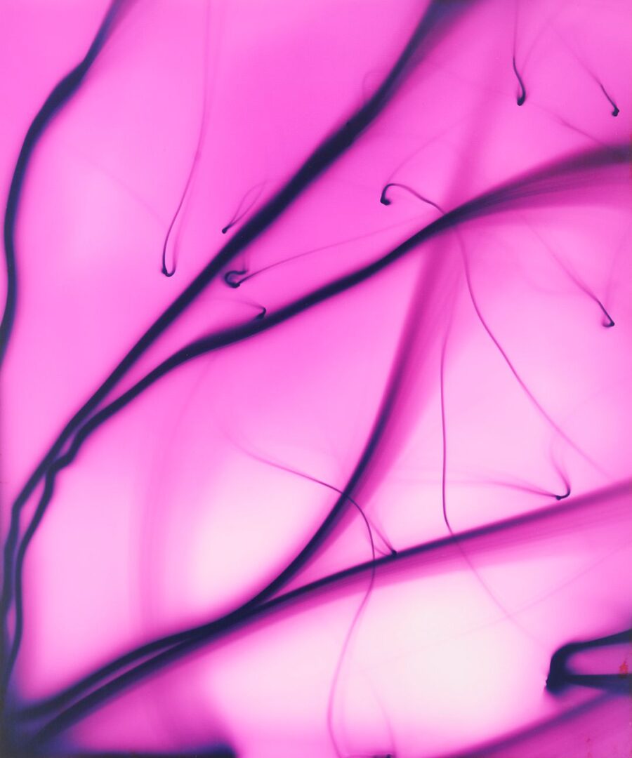 Lot 435: Ellen Carey, Series of 6 Photograms, Struck By Light: Pen Lights