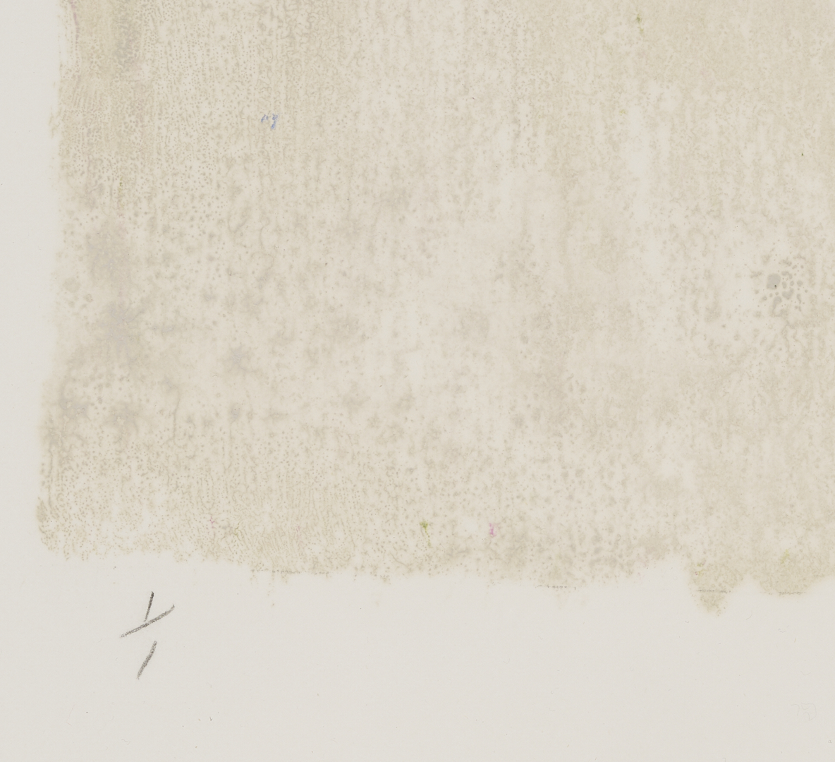 Lot 1120: Three Harold Kraus Floral Monotypes