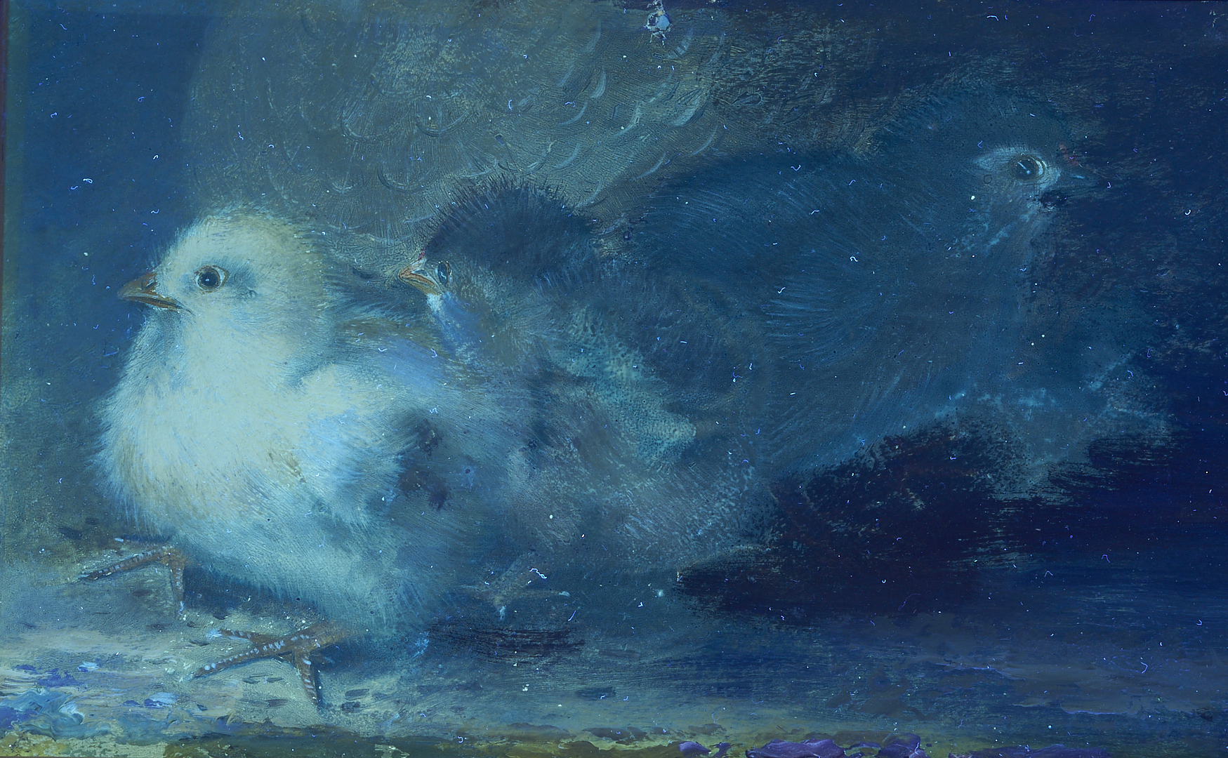 Lot 160: Mary Smith Oil Painting, Three Chicks