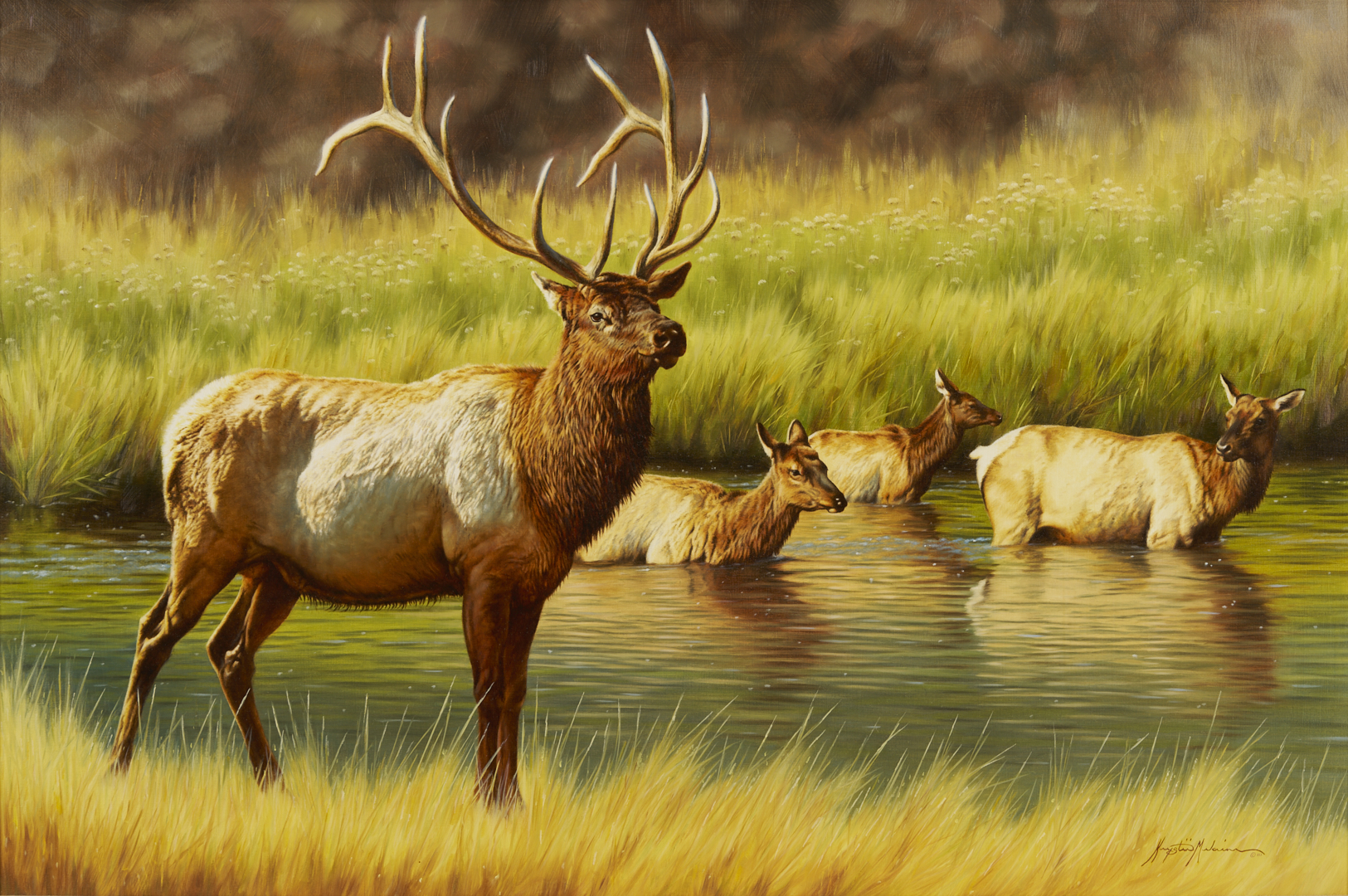 Lot 467: Krystii Melaine Western Wildlife Oil Painting, Elk