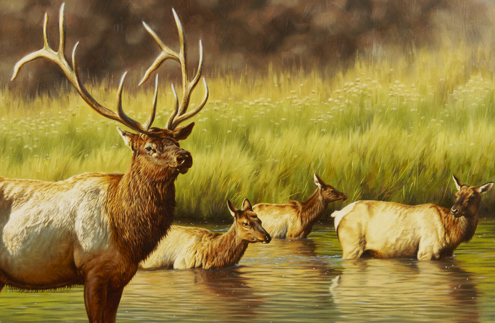 Lot 467: Krystii Melaine Western Wildlife Oil Painting, Elk