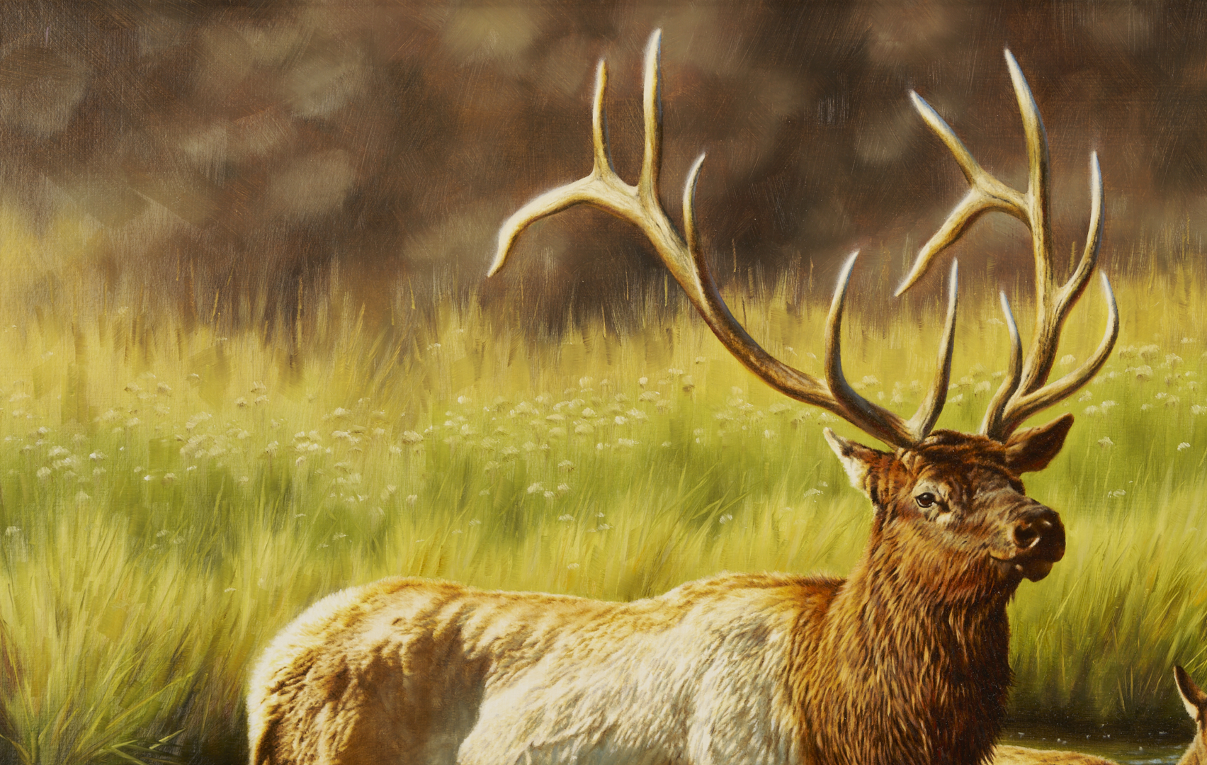 Lot 467: Krystii Melaine Western Wildlife Oil Painting, Elk
