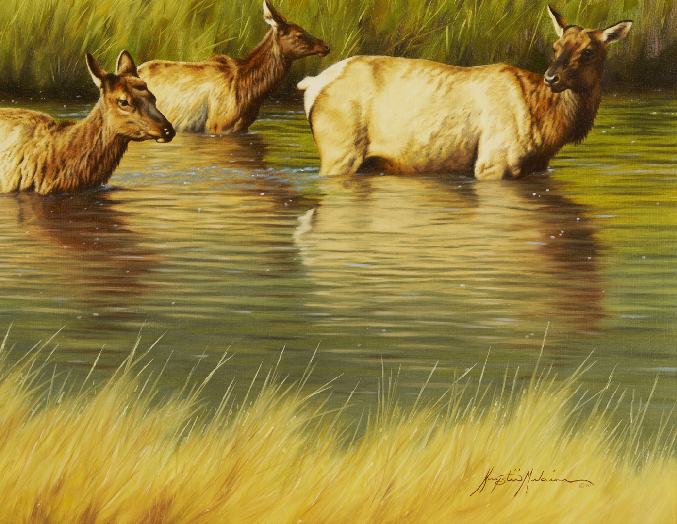 Lot 467: Krystii Melaine Western Wildlife Oil Painting, Elk