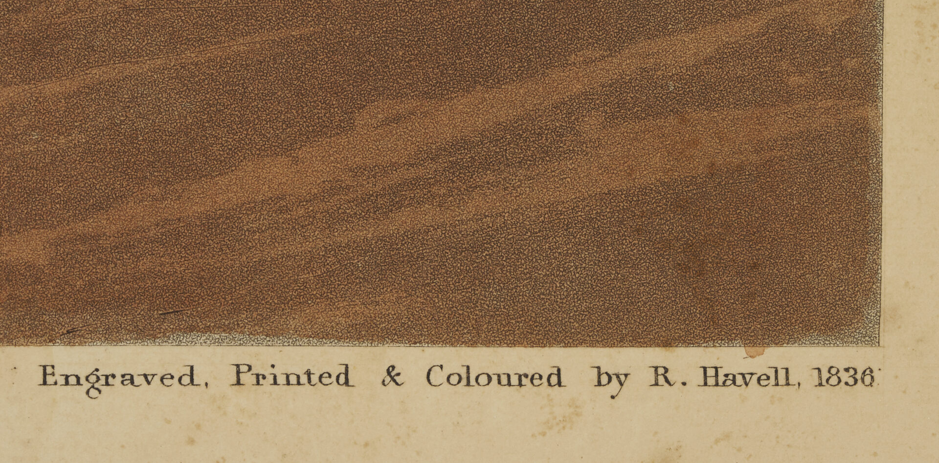 Lot 510: Audubon Sandpiper Print, Havell 1836 Edition