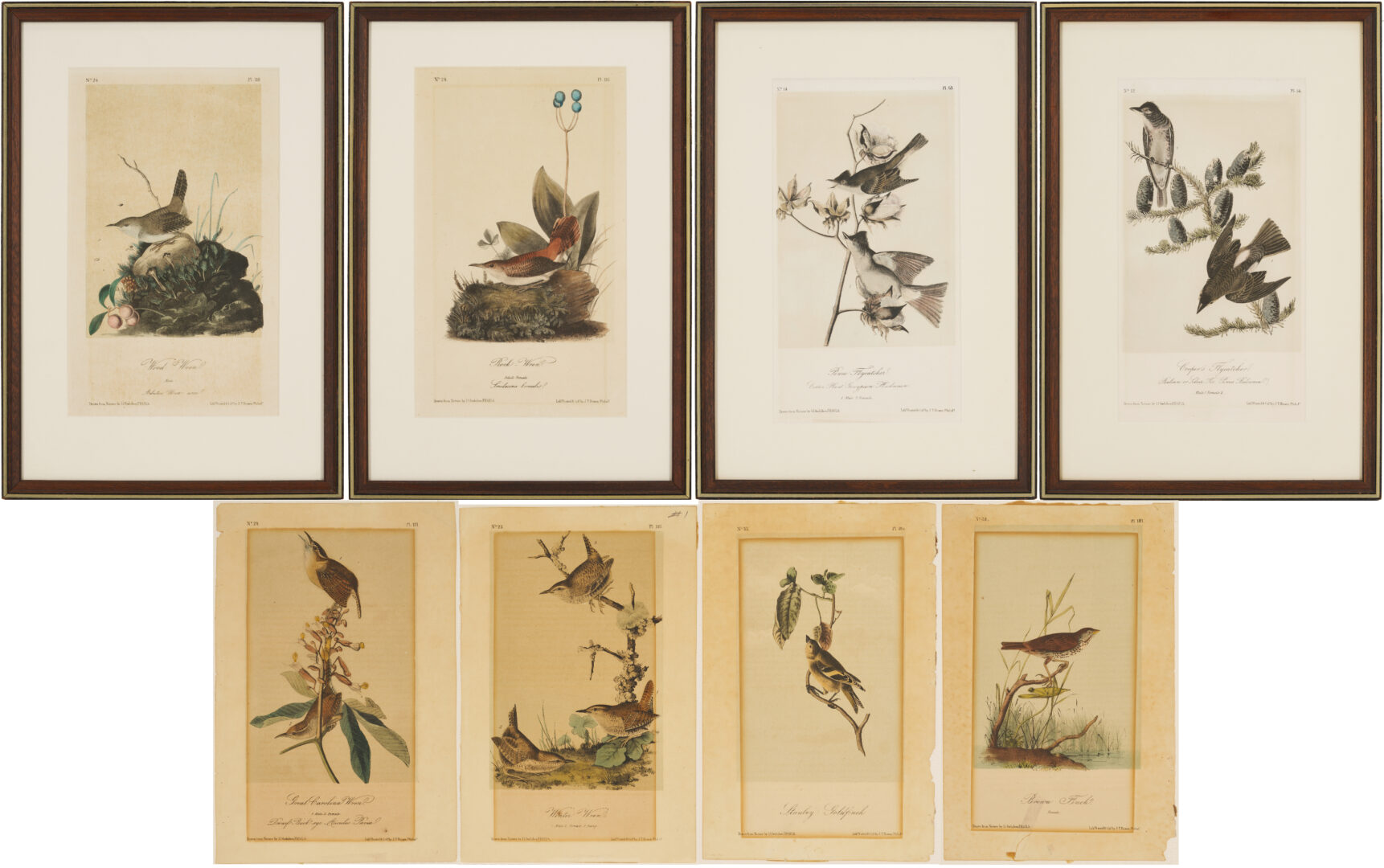 Lot 511: 8 Audubon Birds of America Octavo Prints, Bowen