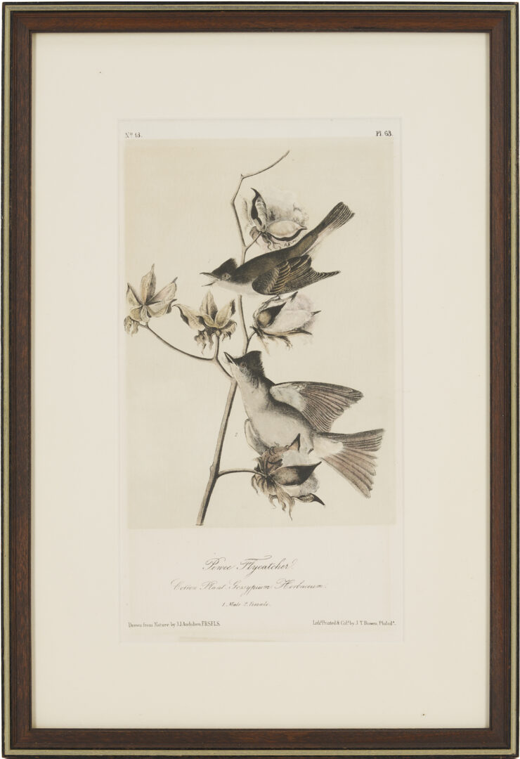 Lot 511: 8 Audubon Birds of America Octavo Prints, Bowen