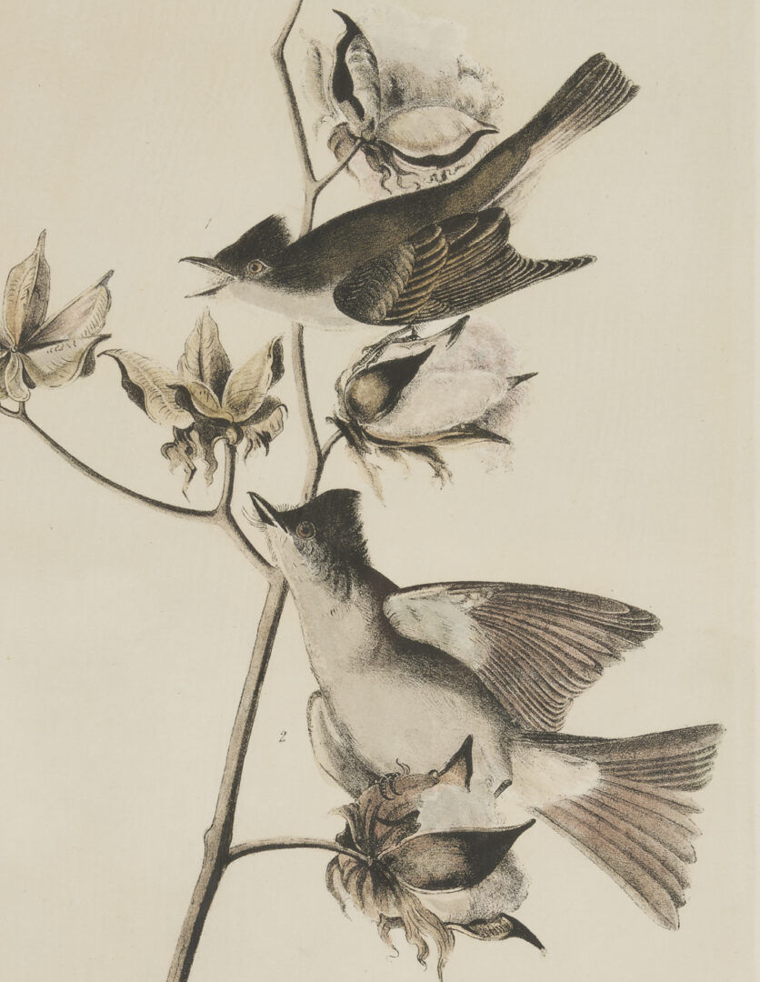 Lot 511: 8 Audubon Birds of America Octavo Prints, Bowen