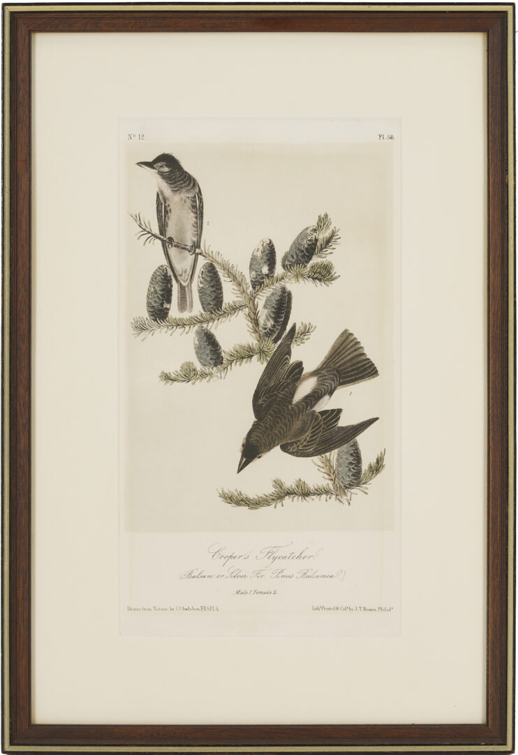 Lot 511: 8 Audubon Birds of America Octavo Prints, Bowen