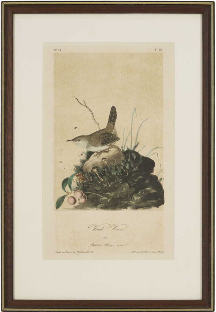 Lot 511: 8 Audubon Birds of America Octavo Prints, Bowen
