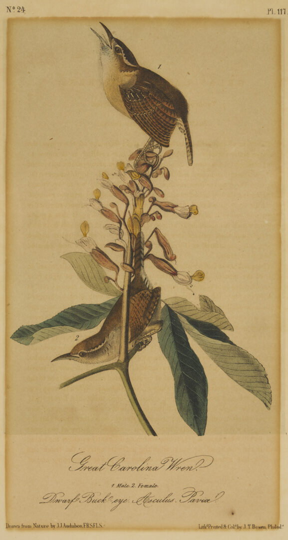 Lot 511: 8 Audubon Birds of America Octavo Prints, Bowen