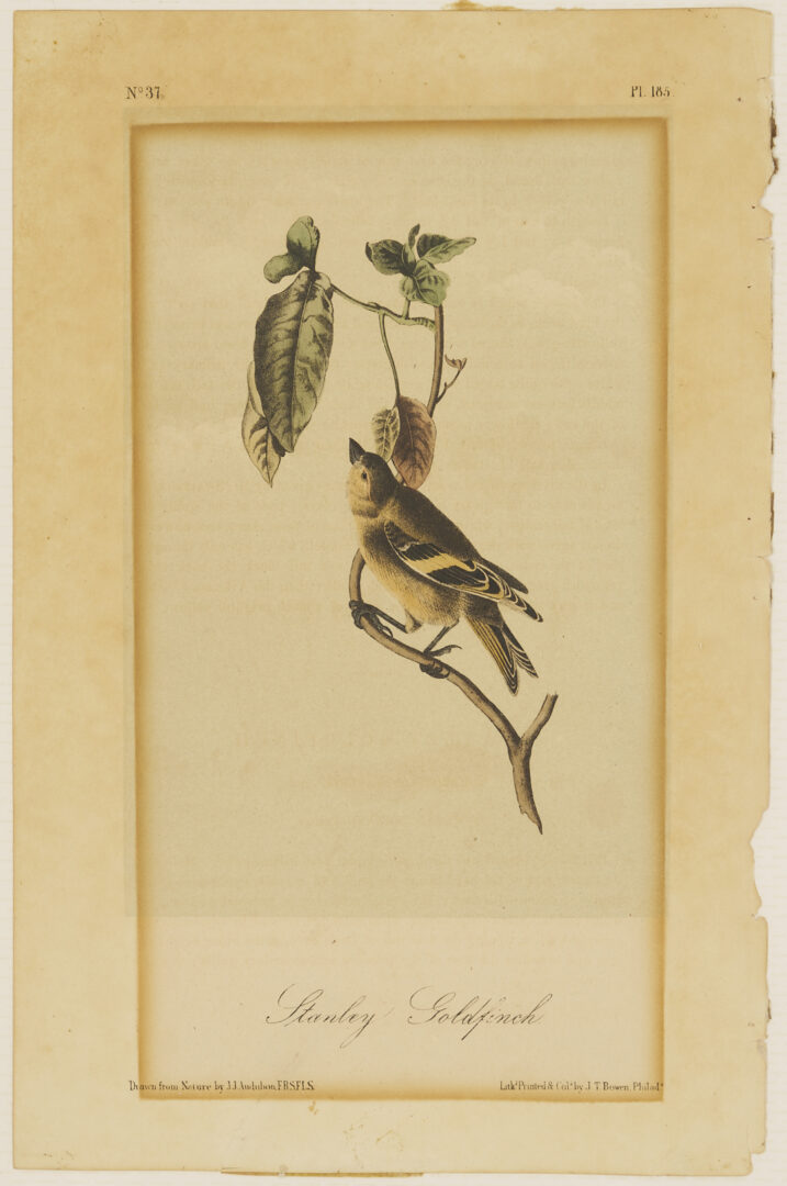 Lot 511: 8 Audubon Birds of America Octavo Prints, Bowen