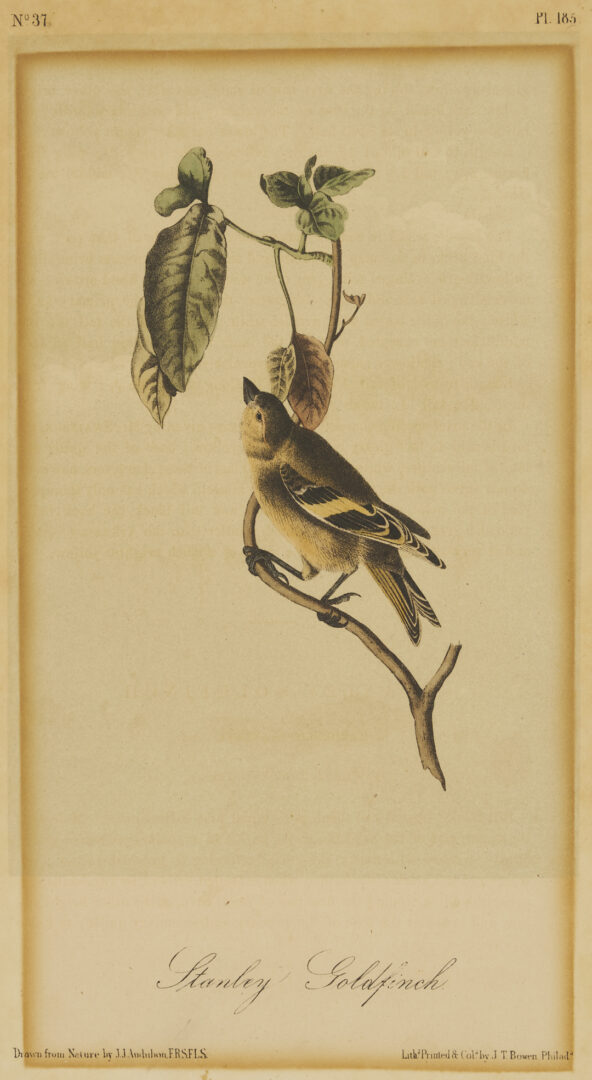 Lot 511: 8 Audubon Birds of America Octavo Prints, Bowen