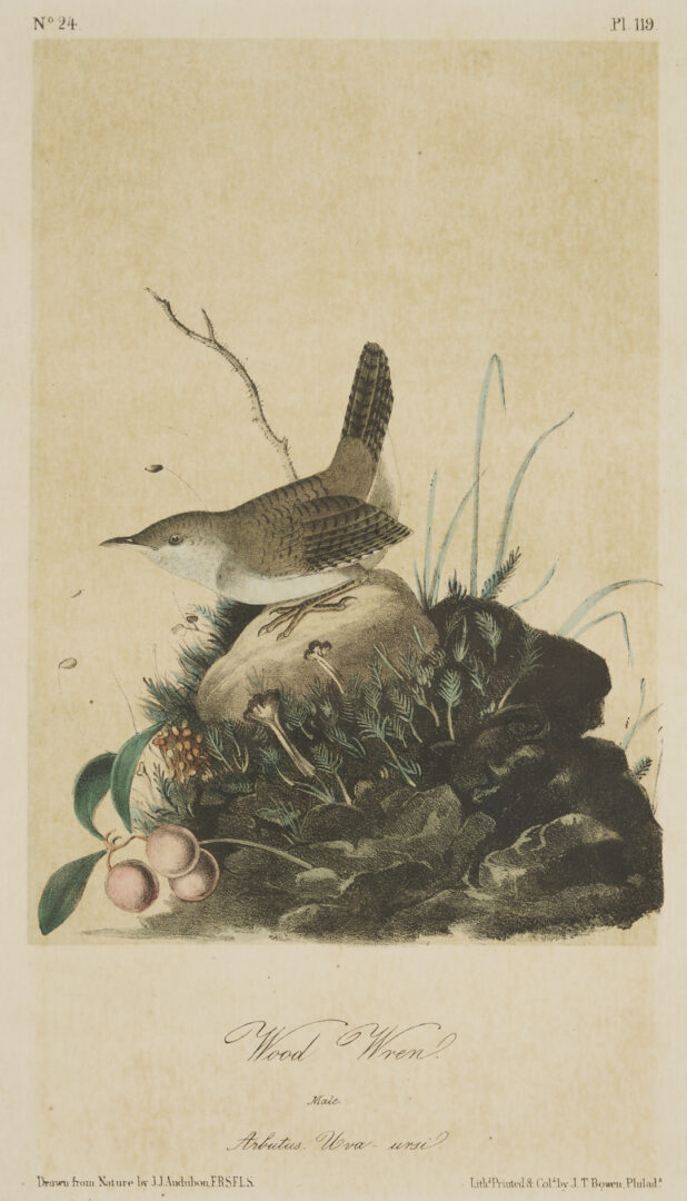 Lot 511: 8 Audubon Birds of America Octavo Prints, Bowen