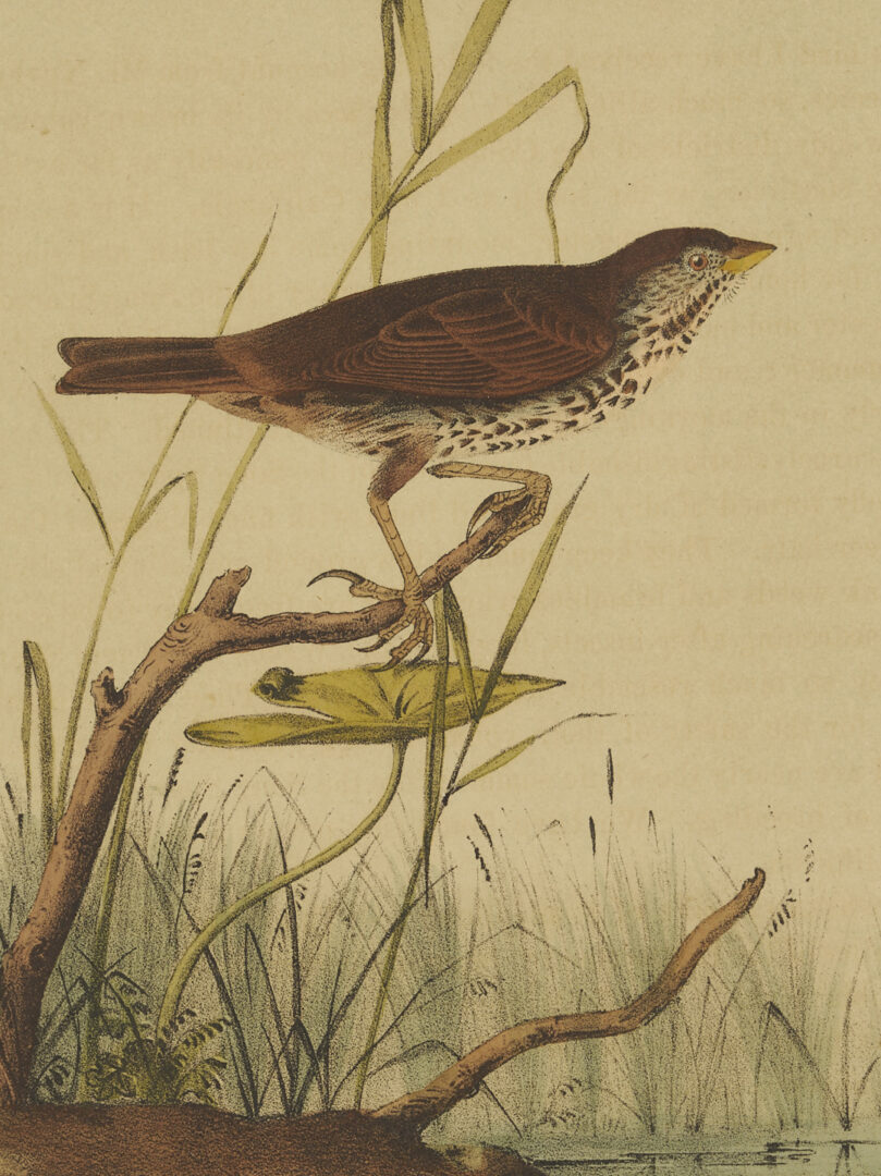 Lot 511: 8 Audubon Birds of America Octavo Prints, Bowen