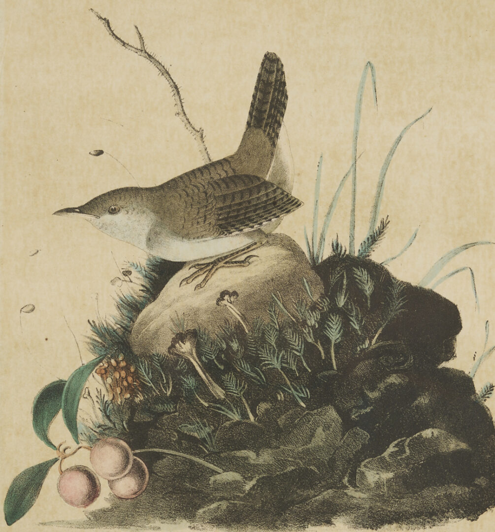 Lot 511: 8 Audubon Birds of America Octavo Prints, Bowen