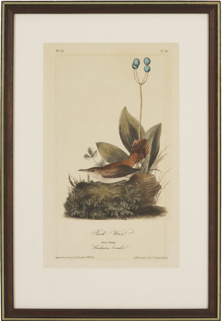 Lot 511: 8 Audubon Birds of America Octavo Prints, Bowen
