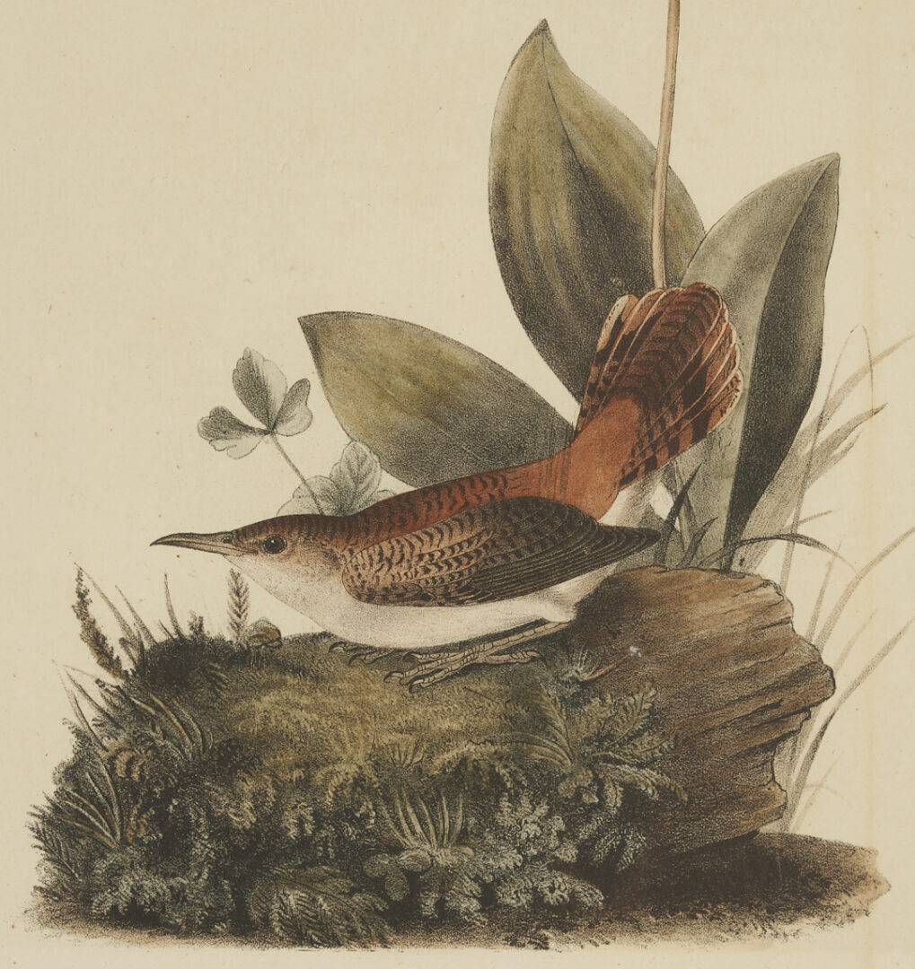 Lot 511: 8 Audubon Birds of America Octavo Prints, Bowen