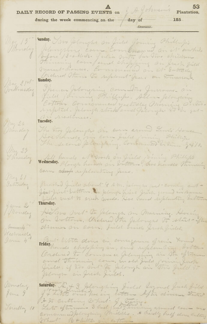 Lot 538: Coweta Georgia Plantation Journal, J.H. Johnson Family
