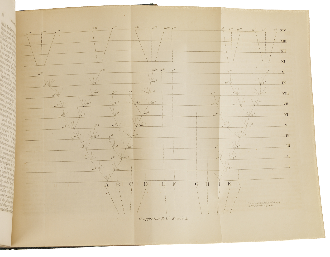 Lot 573: Charles Darwin, Origin of Species, 1st US Edition; Early Printing
