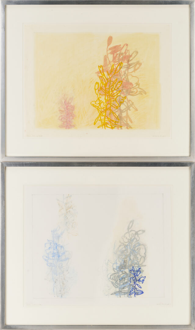 Lot 1028: 2 Rocio Rodriguez Pastel Botanical Drawings