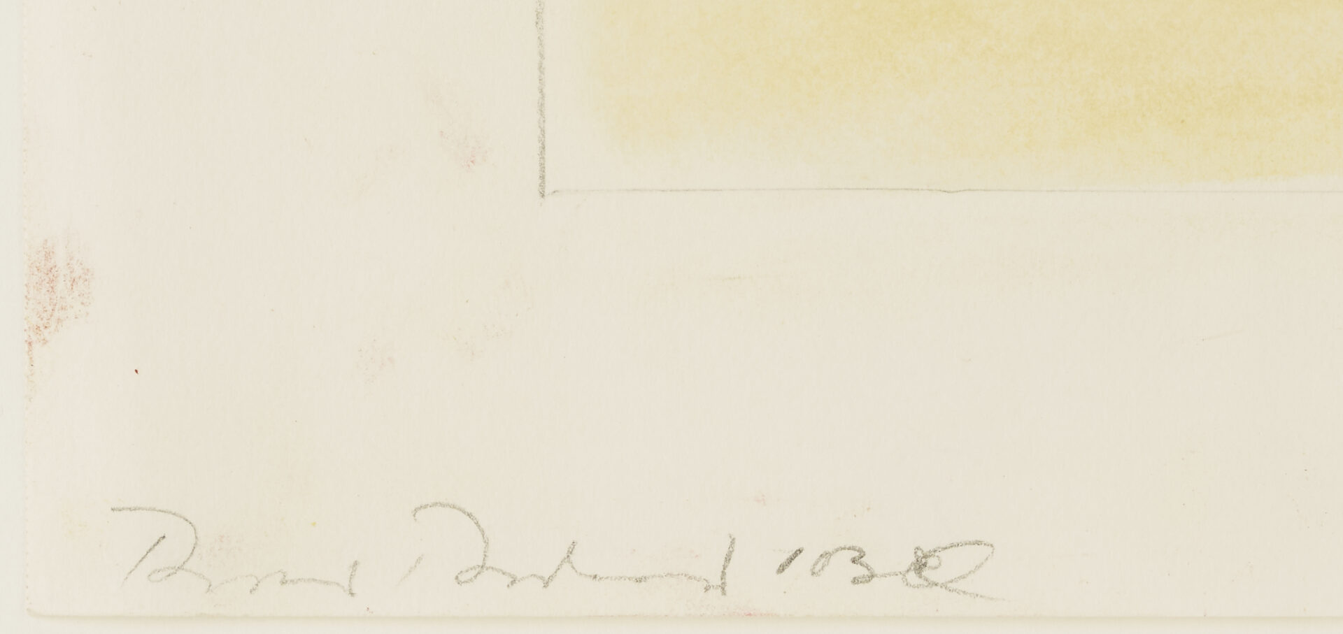 Lot 1028: 2 Rocio Rodriguez Pastel Botanical Drawings