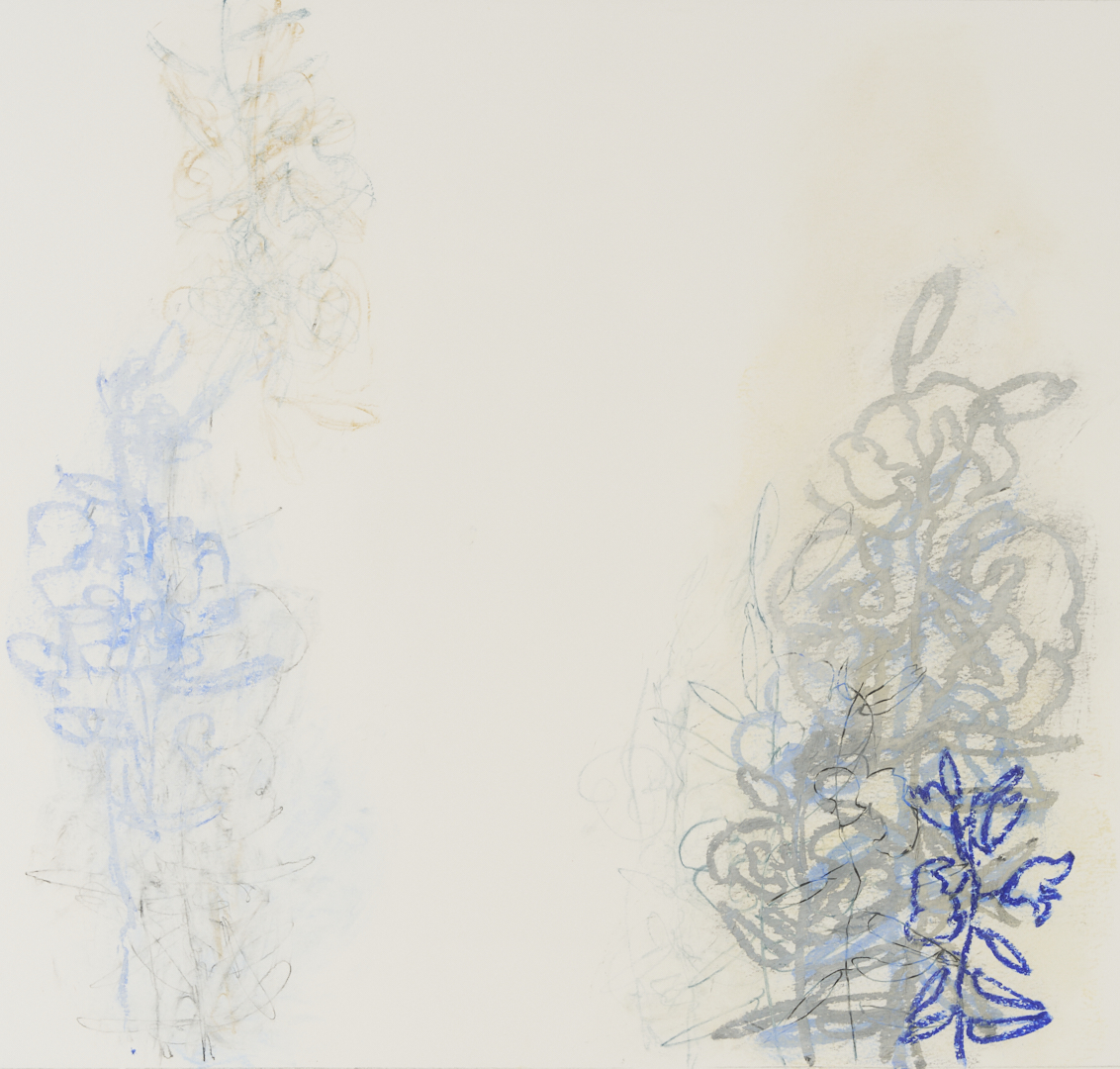 Lot 1028: 2 Rocio Rodriguez Pastel Botanical Drawings