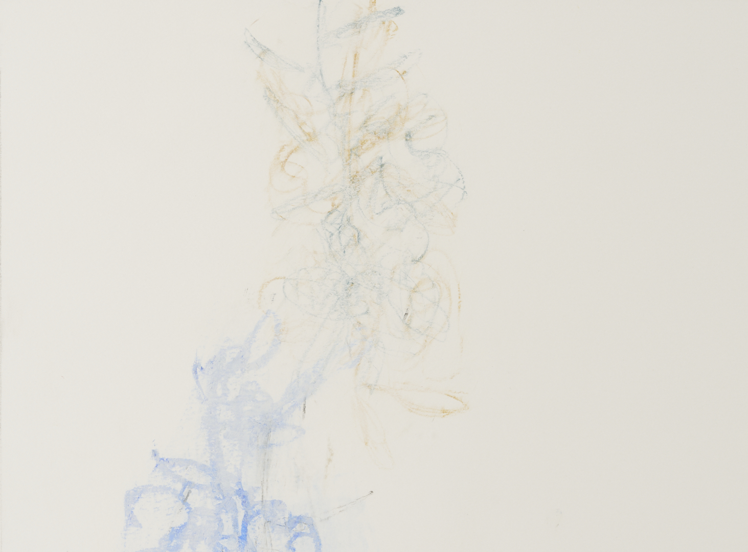 Lot 1028: 2 Rocio Rodriguez Pastel Botanical Drawings