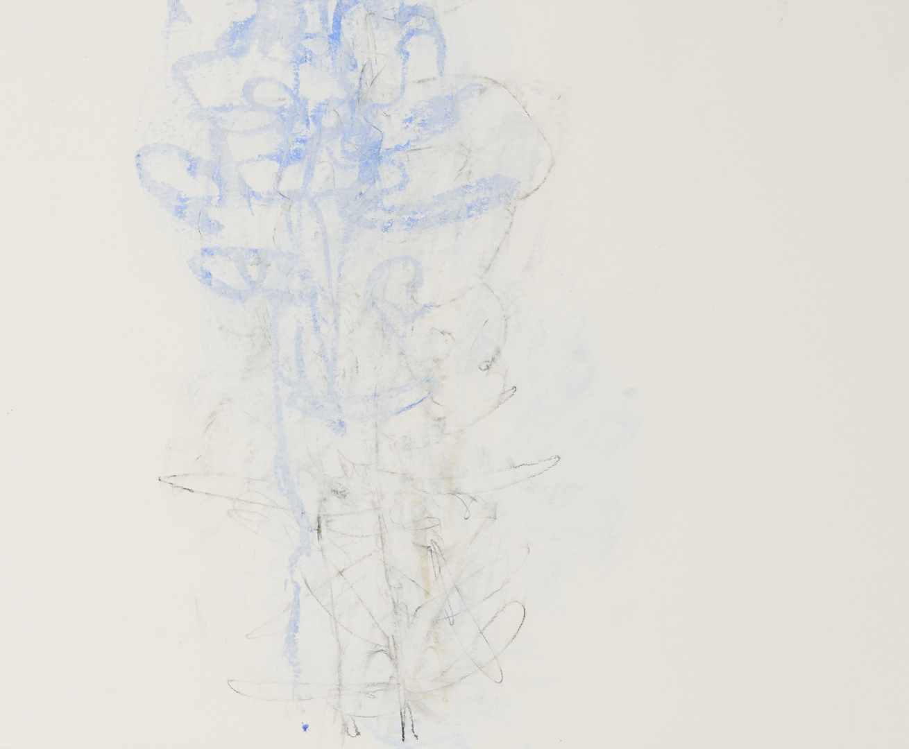 Lot 1028: 2 Rocio Rodriguez Pastel Botanical Drawings