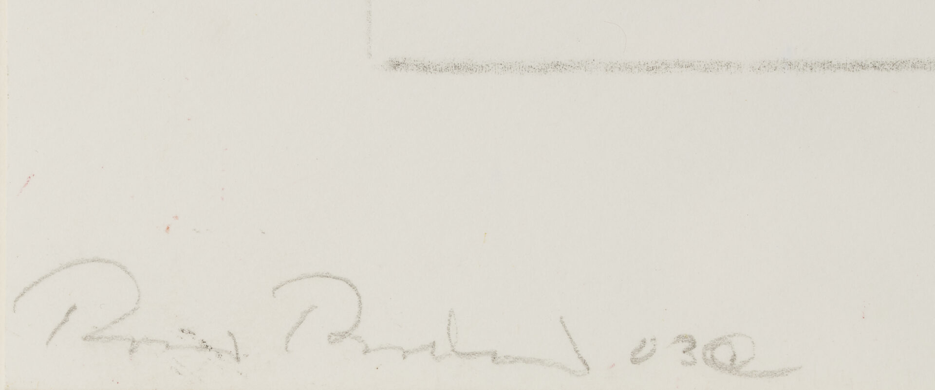 Lot 1028: 2 Rocio Rodriguez Pastel Botanical Drawings