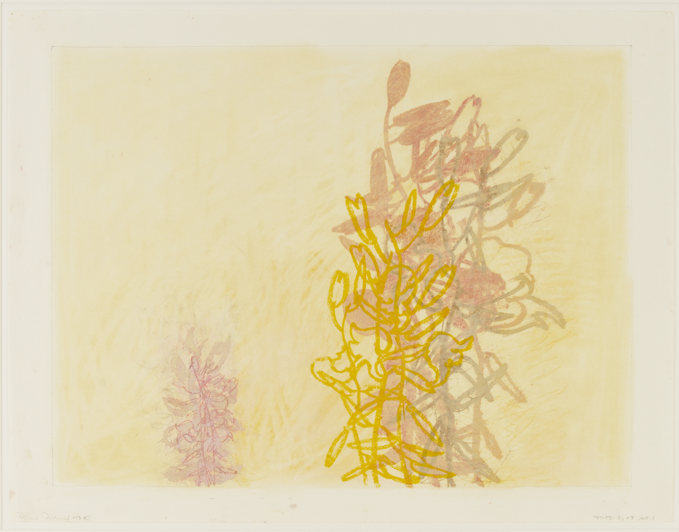 Lot 1028: 2 Rocio Rodriguez Pastel Botanical Drawings