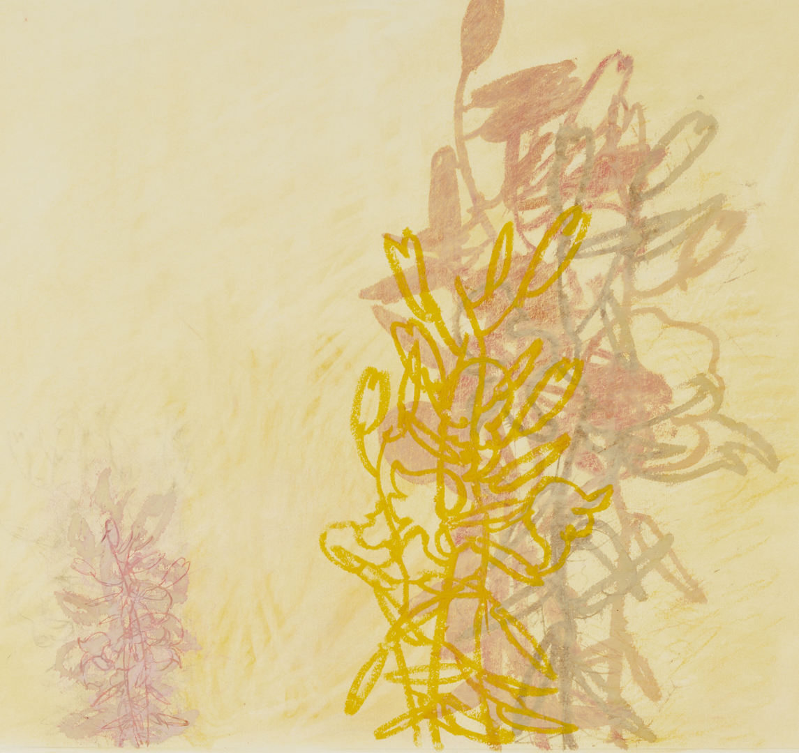 Lot 1028: 2 Rocio Rodriguez Pastel Botanical Drawings