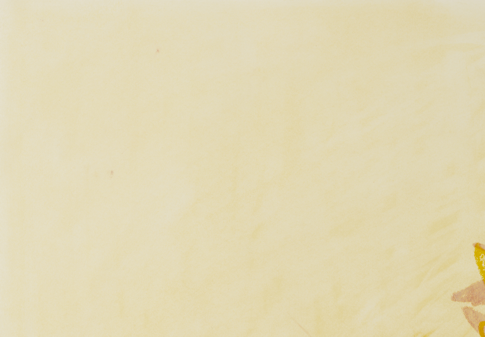 Lot 1028: 2 Rocio Rodriguez Pastel Botanical Drawings