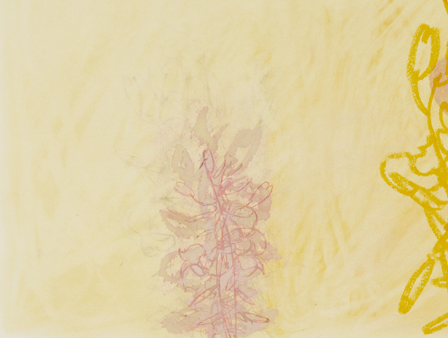 Lot 1028: 2 Rocio Rodriguez Pastel Botanical Drawings