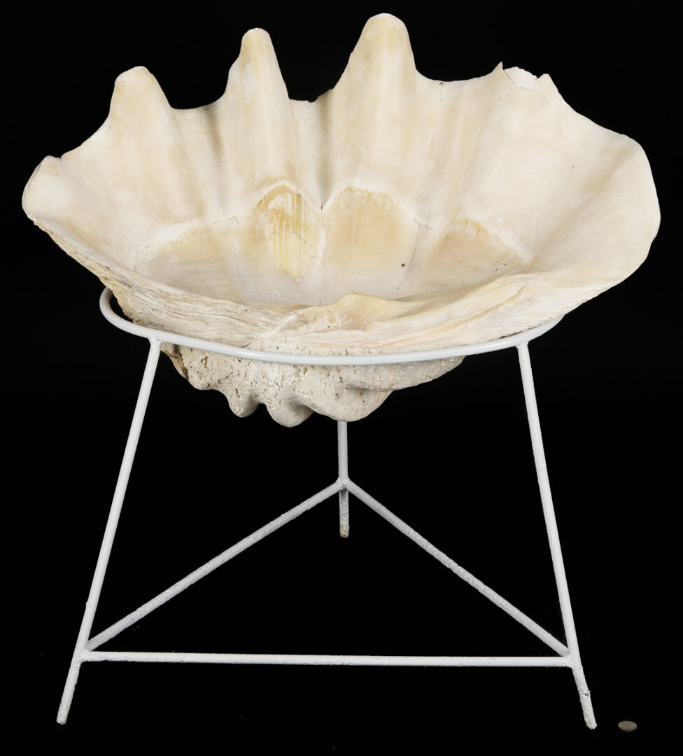 Lot 1077: Giant South Pacific Natural Clam Shell w/ Stand