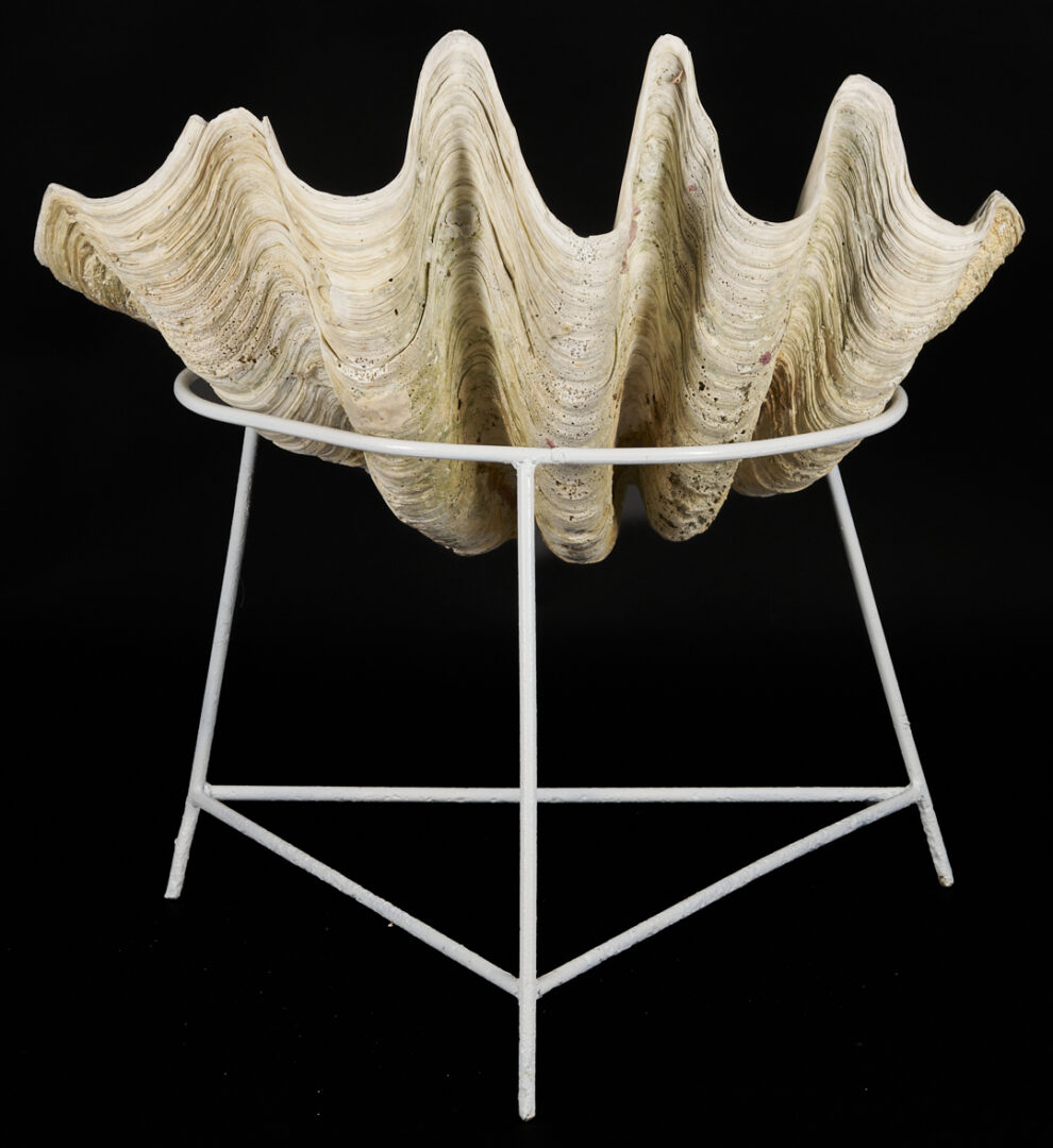 Lot 1077: Giant South Pacific Natural Clam Shell w/ Stand