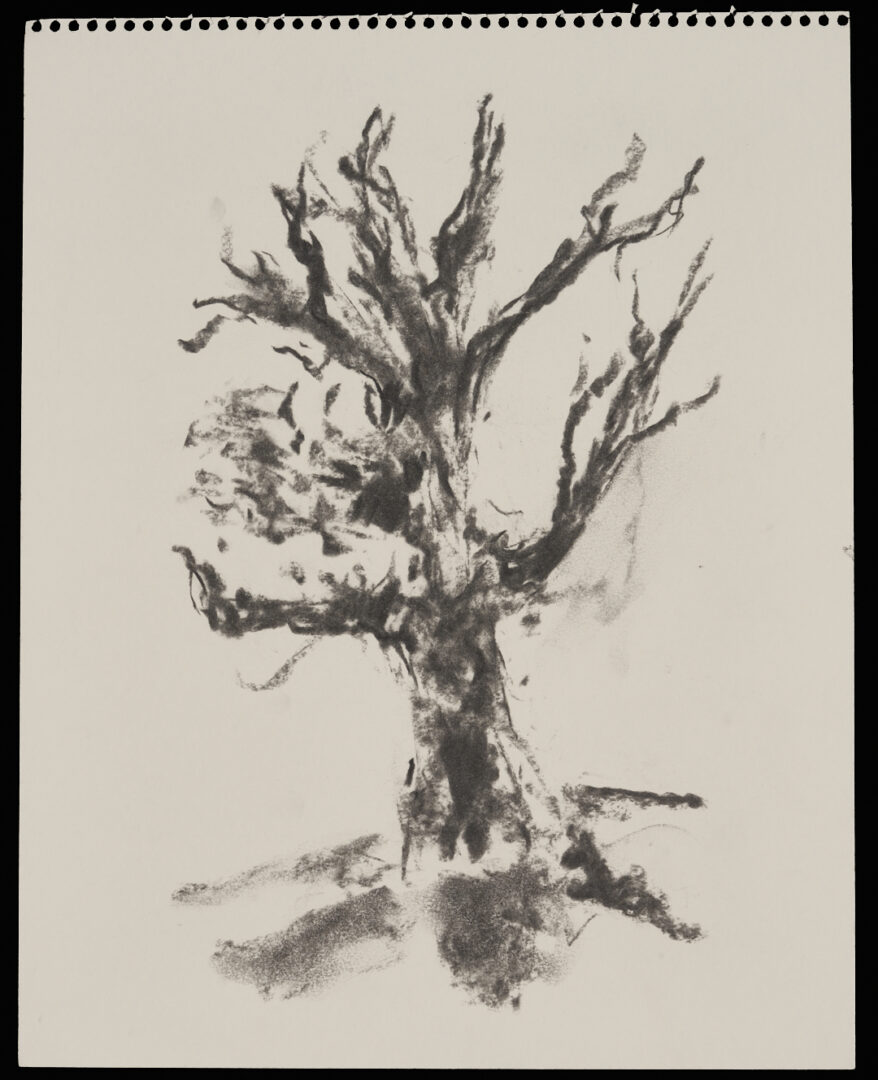 Lot 1127: 21 Assorted George Cress Nature Drawings & Other Studies Incl. Southern