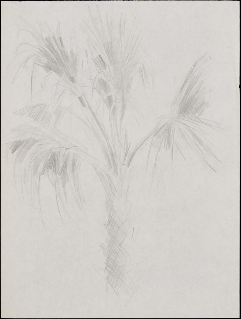 Lot 1127: 21 Assorted George Cress Nature Drawings & Other Studies Incl. Southern