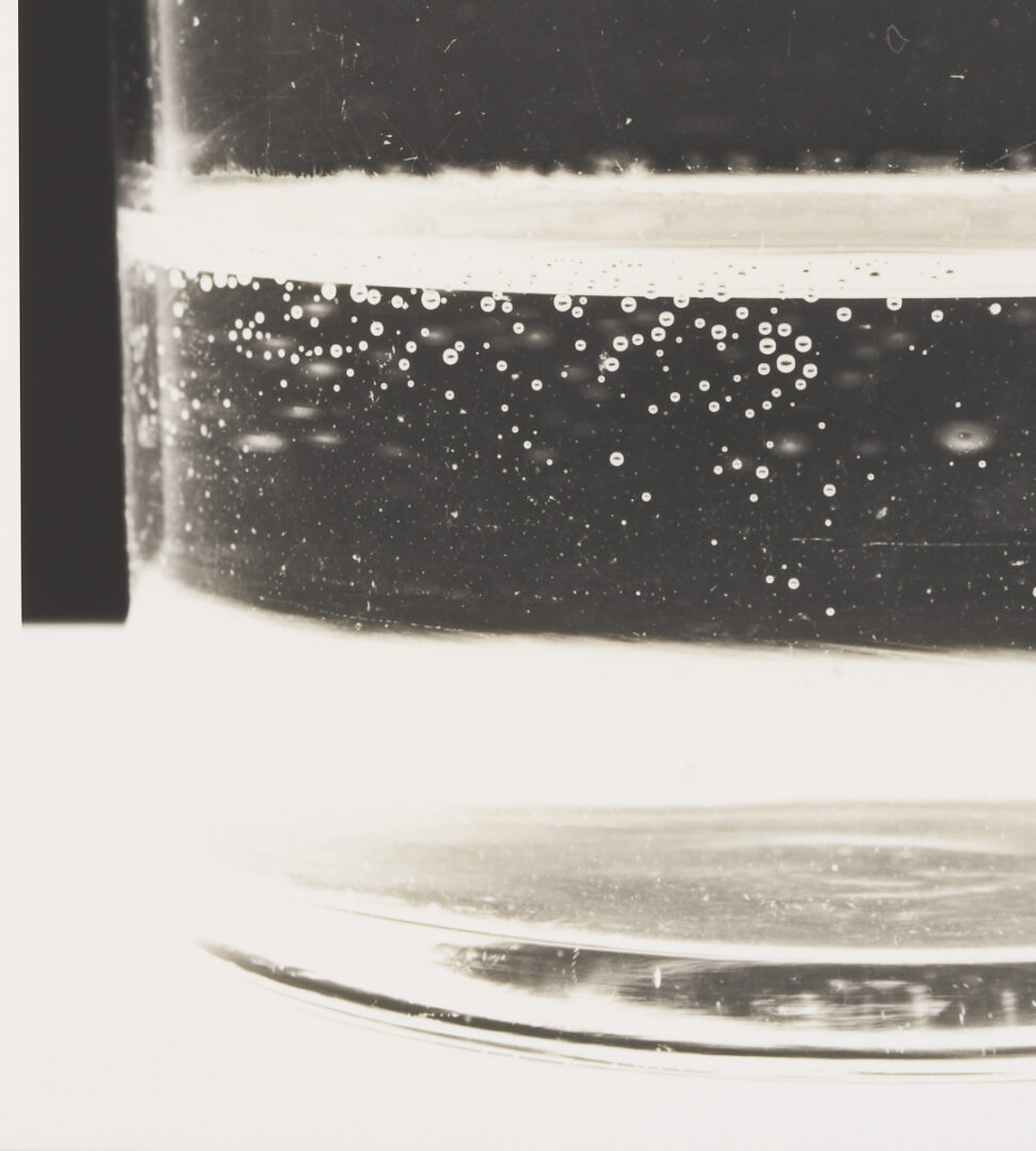 Lot 1205: Amanda Means Framed Photograph, “Glass 5”