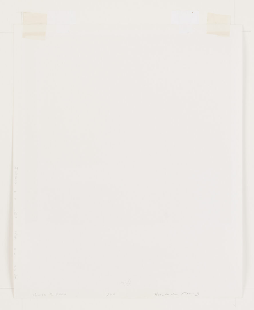 Lot 1205: Amanda Means Framed Photograph, “Glass 5”